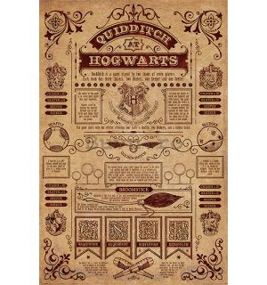 Poster - Harry Potter (Quidditch At Hogwarts) 