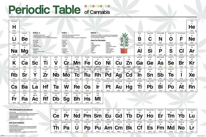 Poster - Periodic Table (Cannabis) 