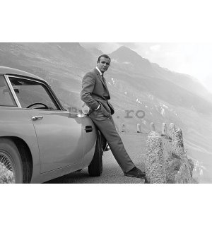 Poster - James Bond (Connery & Aston Martin) 