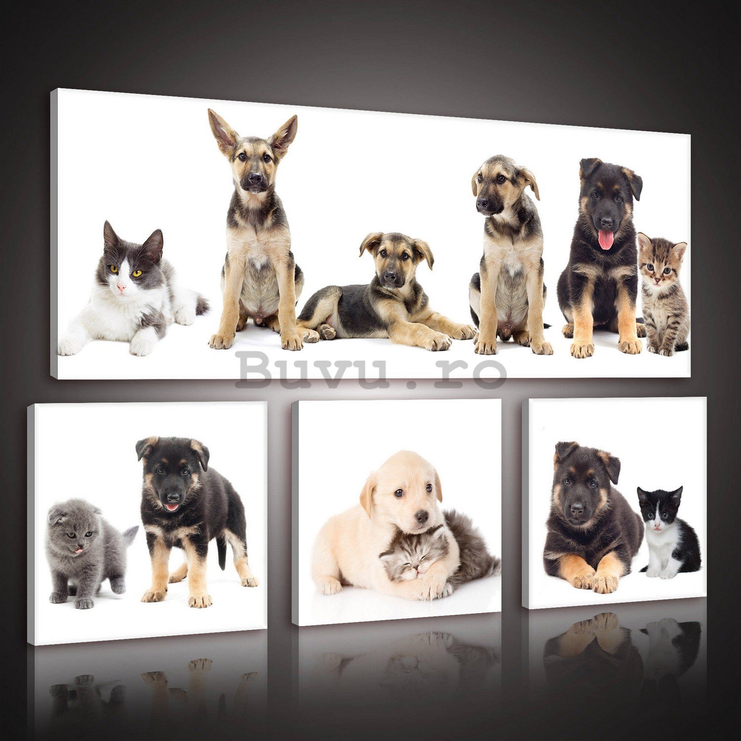 Tablou canvas: Câini (1) - set 1 buc 80x30 cm și 3 buc 25,8x24,8 cm