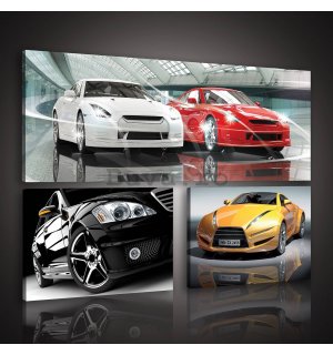 Tablou canvas: Mașini sport - set 1 buc 80x30 cm și 2 buc 37,5x24,8 cm
