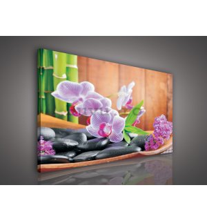 Tablou canvas: Orhideea (1) - 80x60 cm