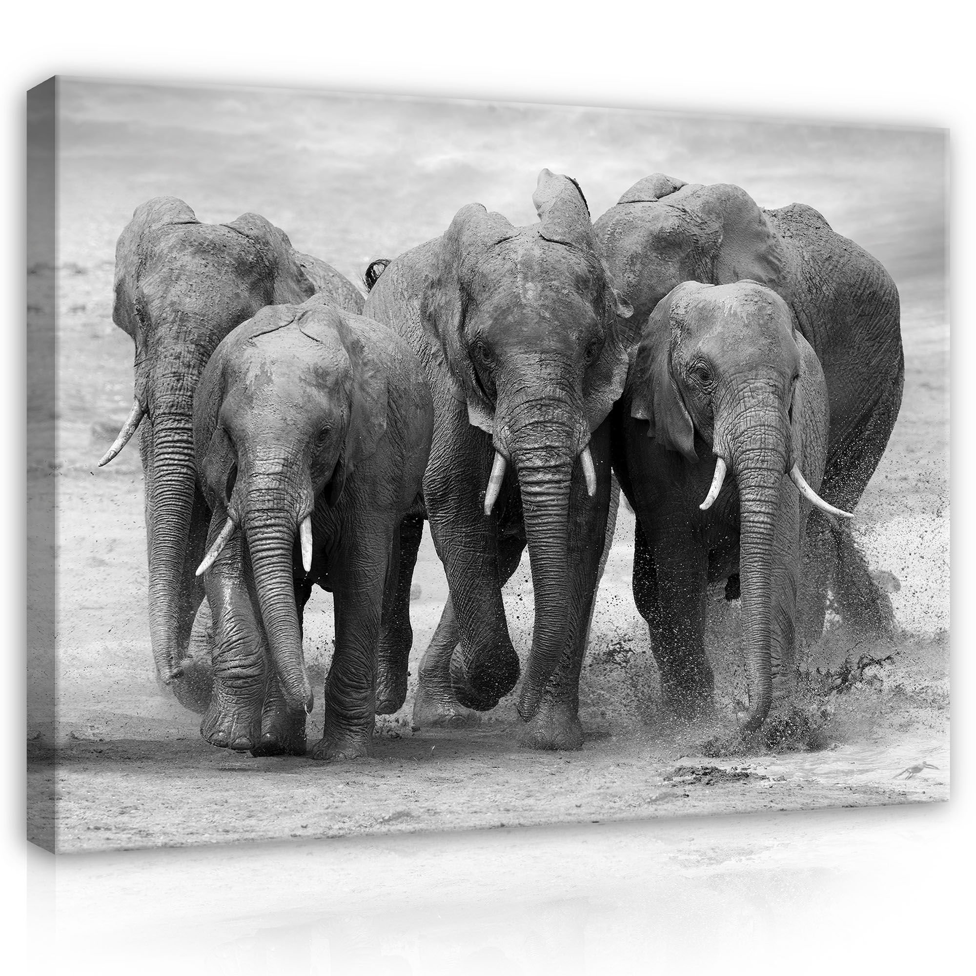 Tablou canvas: Elefanți - 80x60 cm