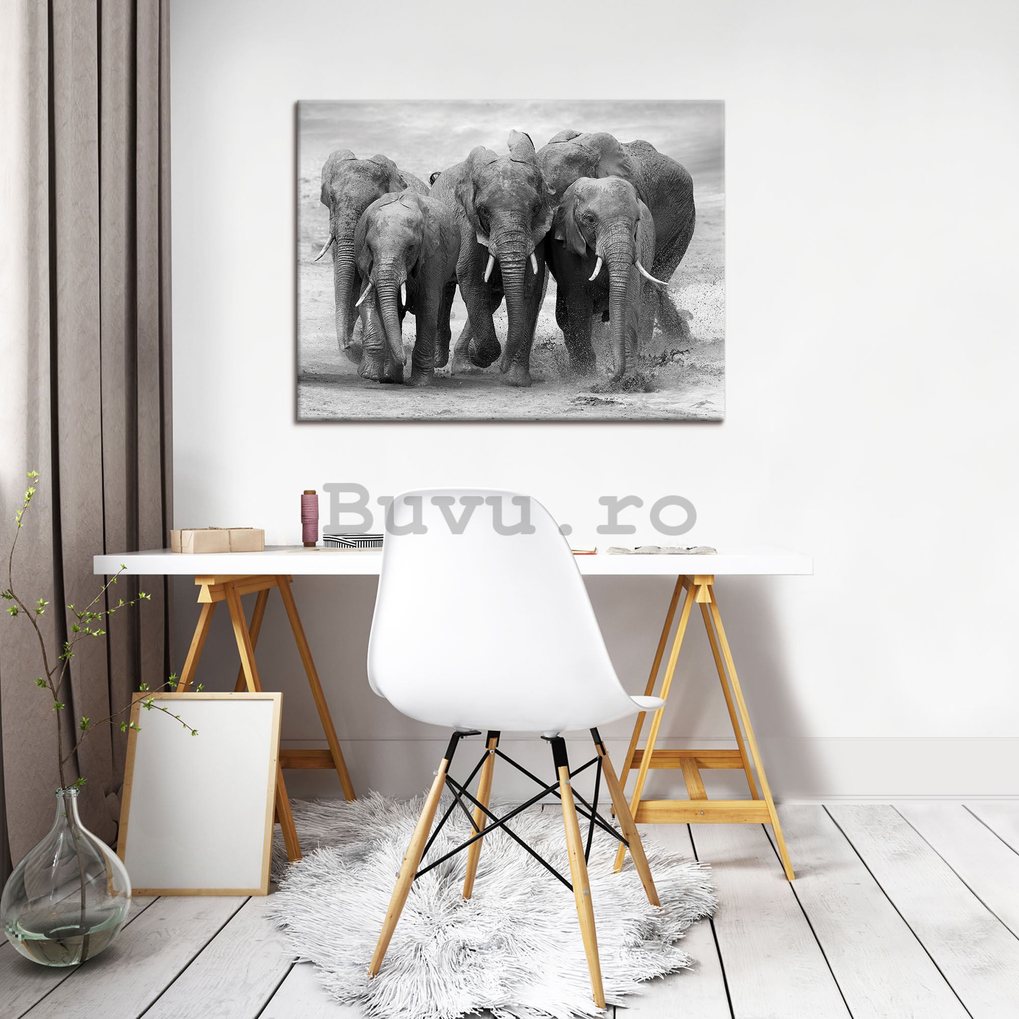 Tablou canvas: Elefanți - 80x60 cm