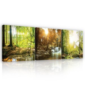 Tablou canvas: Pârâul de pădure - set 3 buc 25x25cm