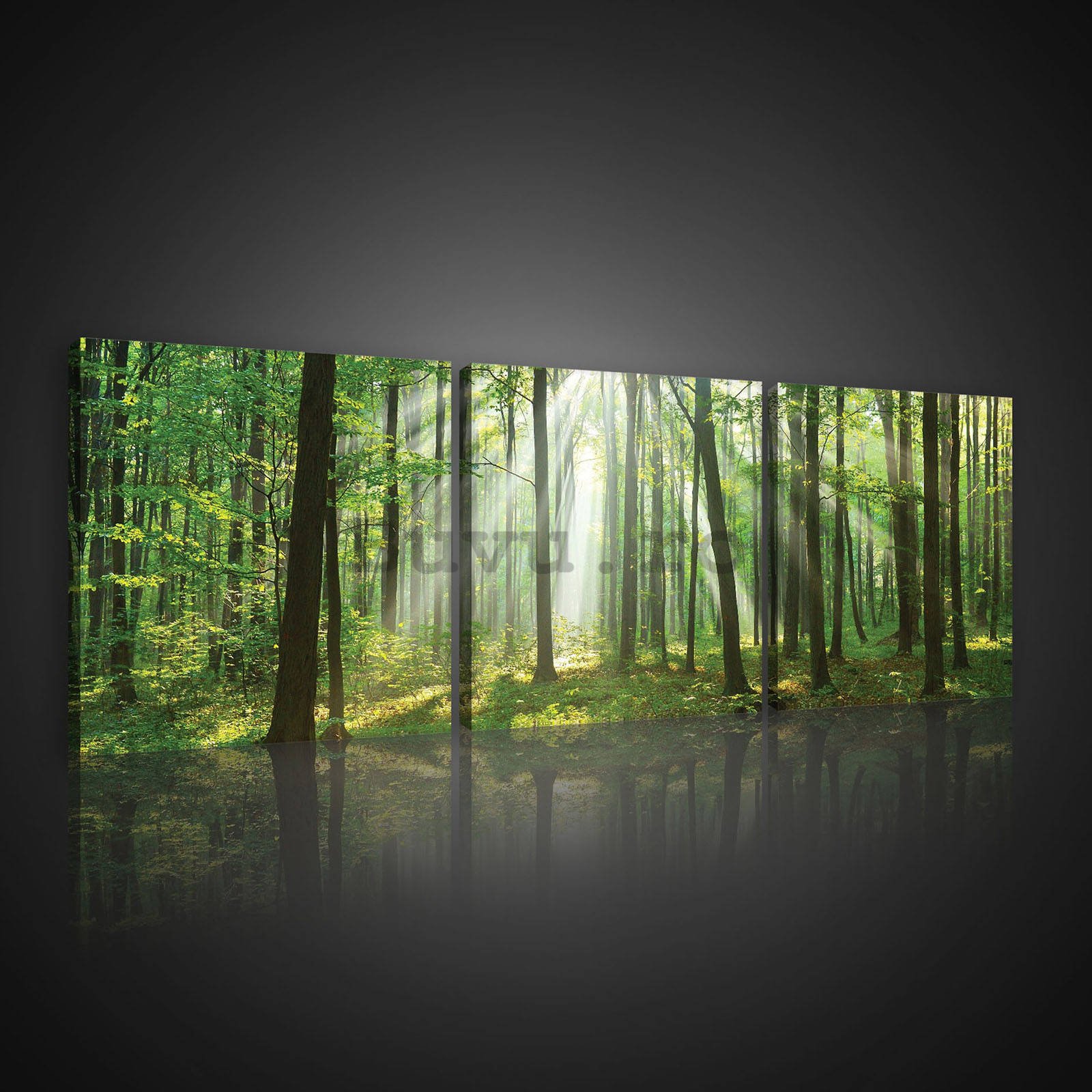 Tablou canvas: Soarele în pădure (3) - set 3 buc 25x25cm