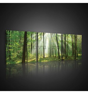 Tablou canvas: Soarele în pădure (3) - set 3 buc 25x25cm