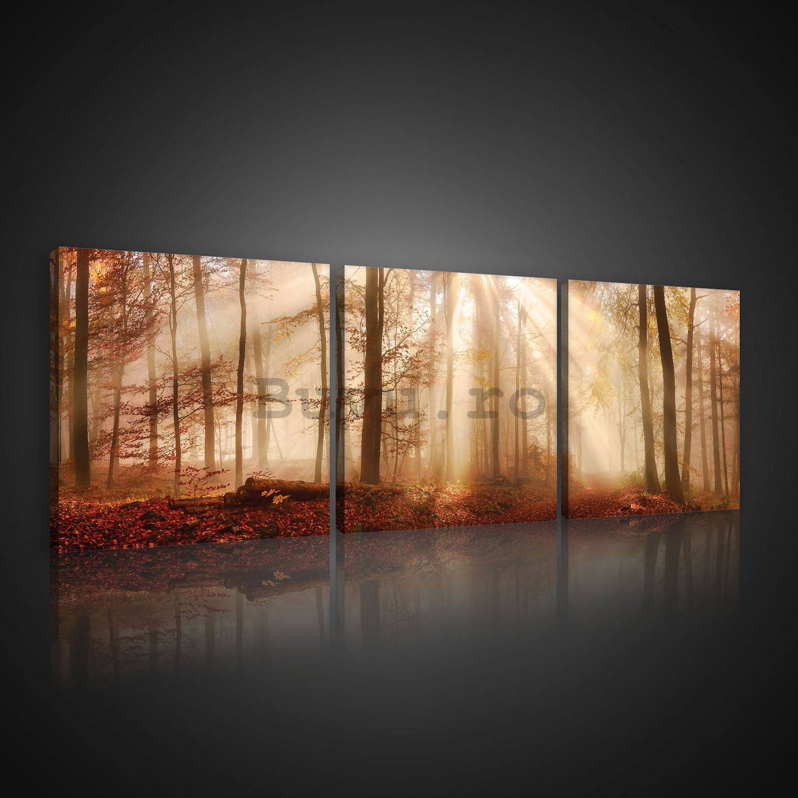 Tablou canvas: Revărsatul de zori în pădure - set 3 buc 25x25cm