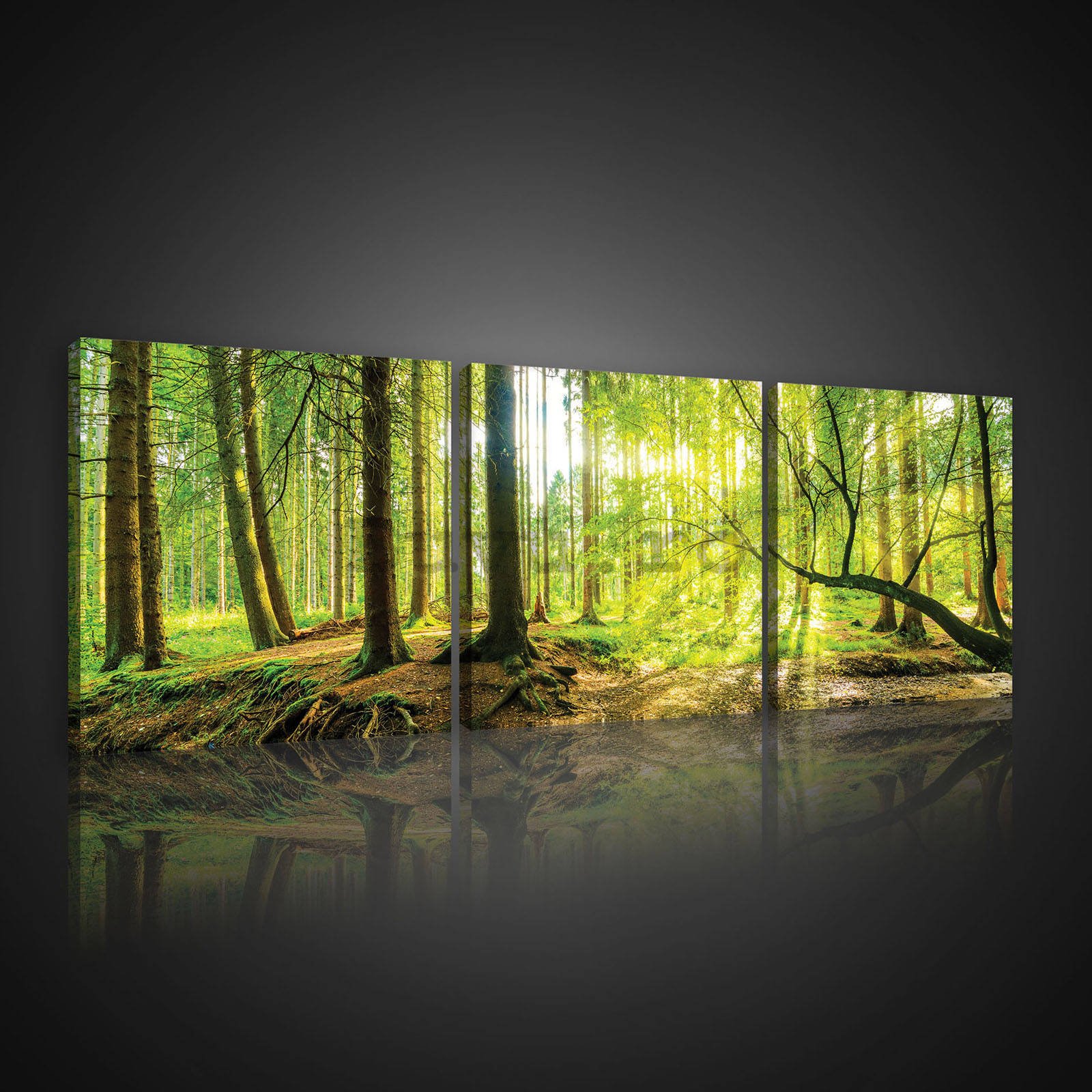 Tablou canvas: Pădurea inundată - set 3 buc 25x25cm