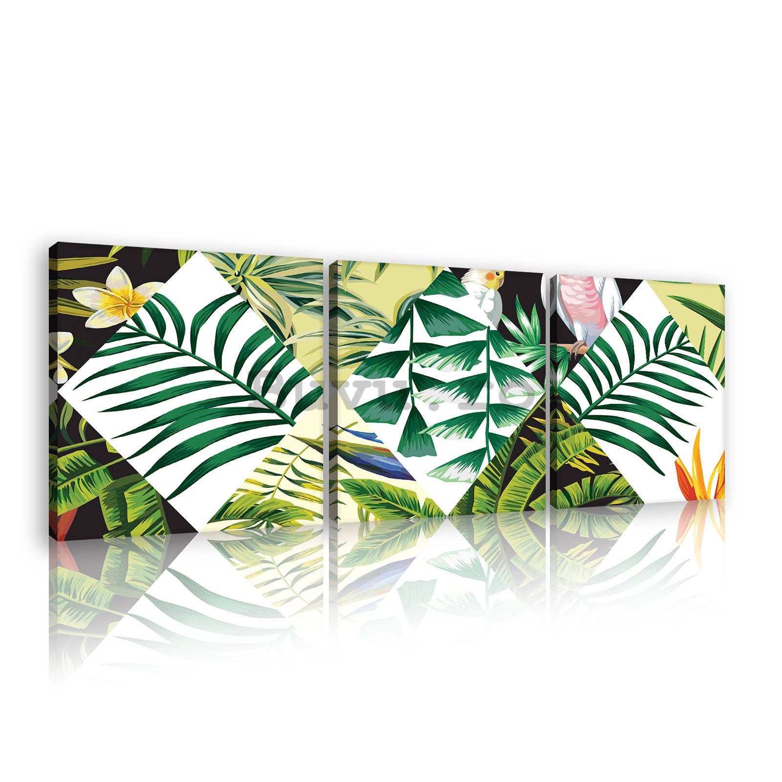 Tablou canvas: Flora tropicală pictată (2) - set 3 buc 25x25cm