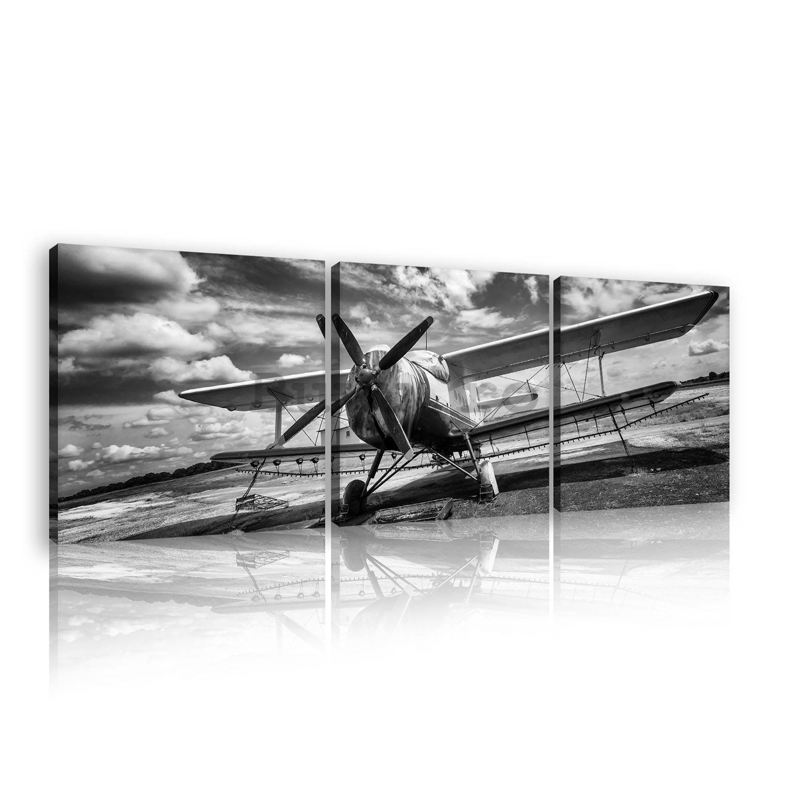 Tablou canvas: Avion biplan (alb-negru) - set 3 buc 25x25cm