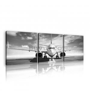 Tablou canvas: Avion cu reacție (alb-negru) - set 3 buc 25x25cm
