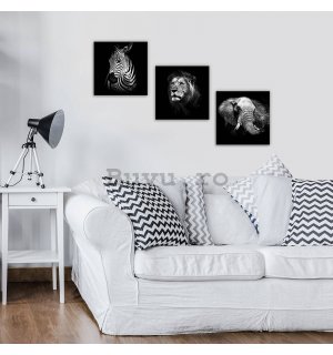 Tablou canvas: Animale albe și negre (1) - set 3 buc 25x25cm