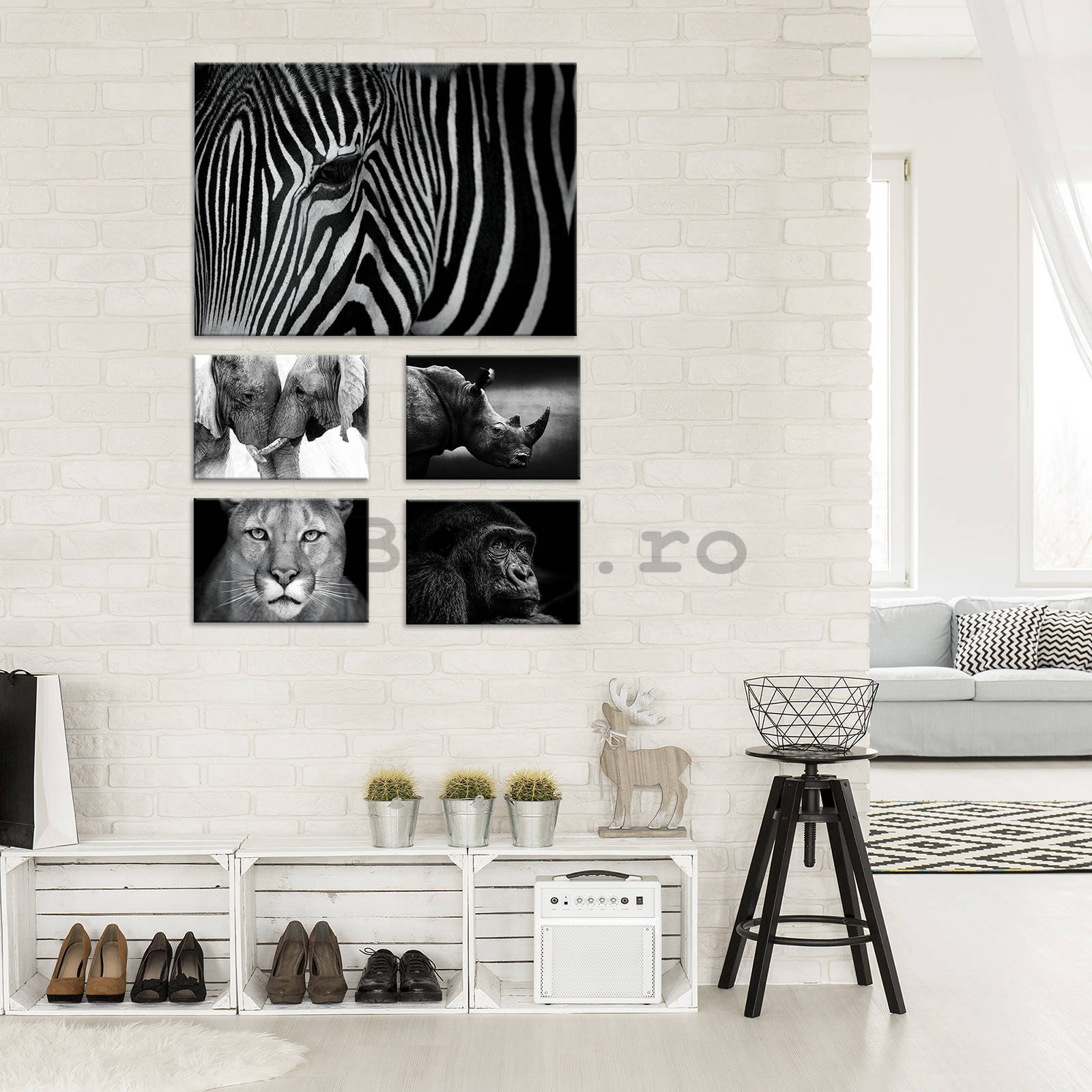 Tablou canvas: Animale albe și negre (2) - set 1 buc 70x50 cm și 4 buc 32,4x22,8 cm