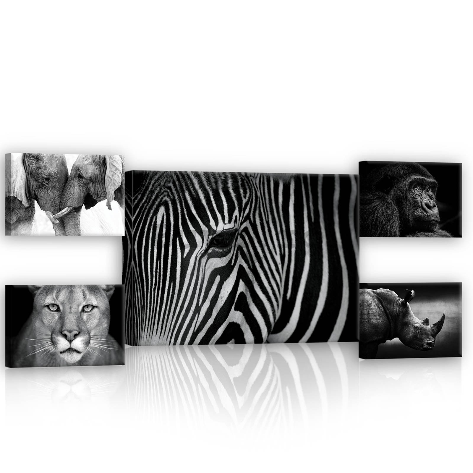 Tablou canvas: Animale albe și negre (2) - set 1 buc 70x50 cm și 4 buc 32,4x22,8 cm