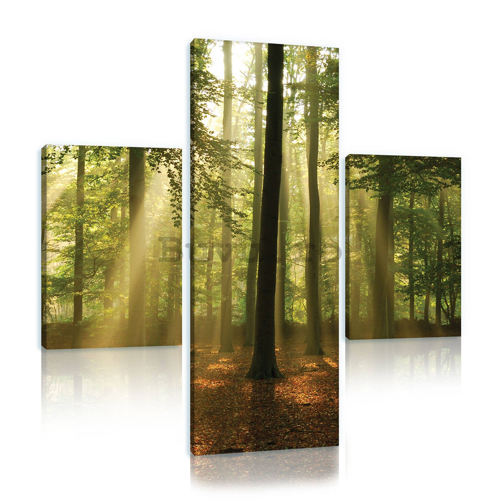 Tablou canvas: Soarele în pădure (4) - set 1 buc 80x30 cm și 2 buc 37,5x24,8 cm