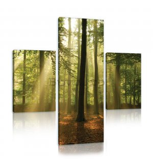Tablou canvas: Soarele în pădure (4) - set 1 buc 80x30 cm și 2 buc 37,5x24,8 cm
