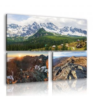 Tablou canvas: Vedere la munte (2) - set 1 buc 80x30 cm și 2 buc 37,5x24,8 cm