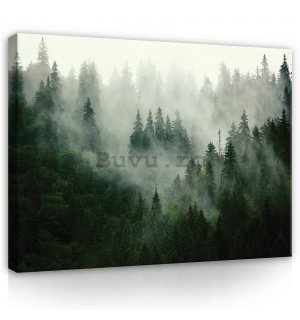 Tablou canvas: Ceață peste pădure (1) - 100x75 cm
