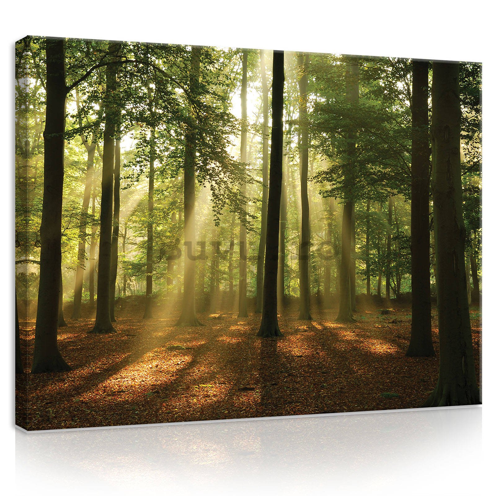 Tablou canvas: Soarele în pădure (4) - 80x60 cm