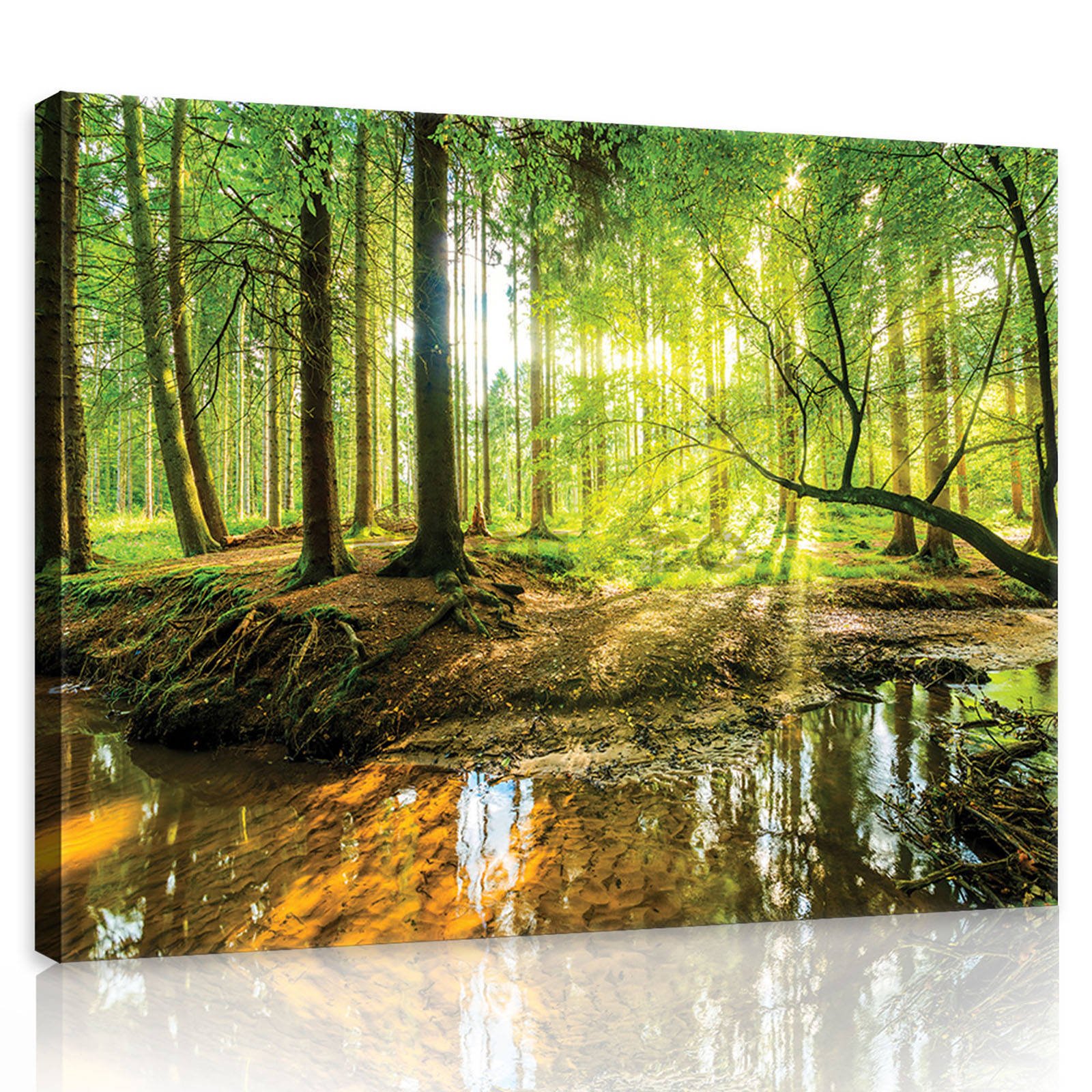 Tablou canvas: Pădurea inundată - 80x60 cm