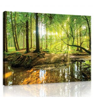Tablou canvas: Pădurea inundată - 80x60 cm