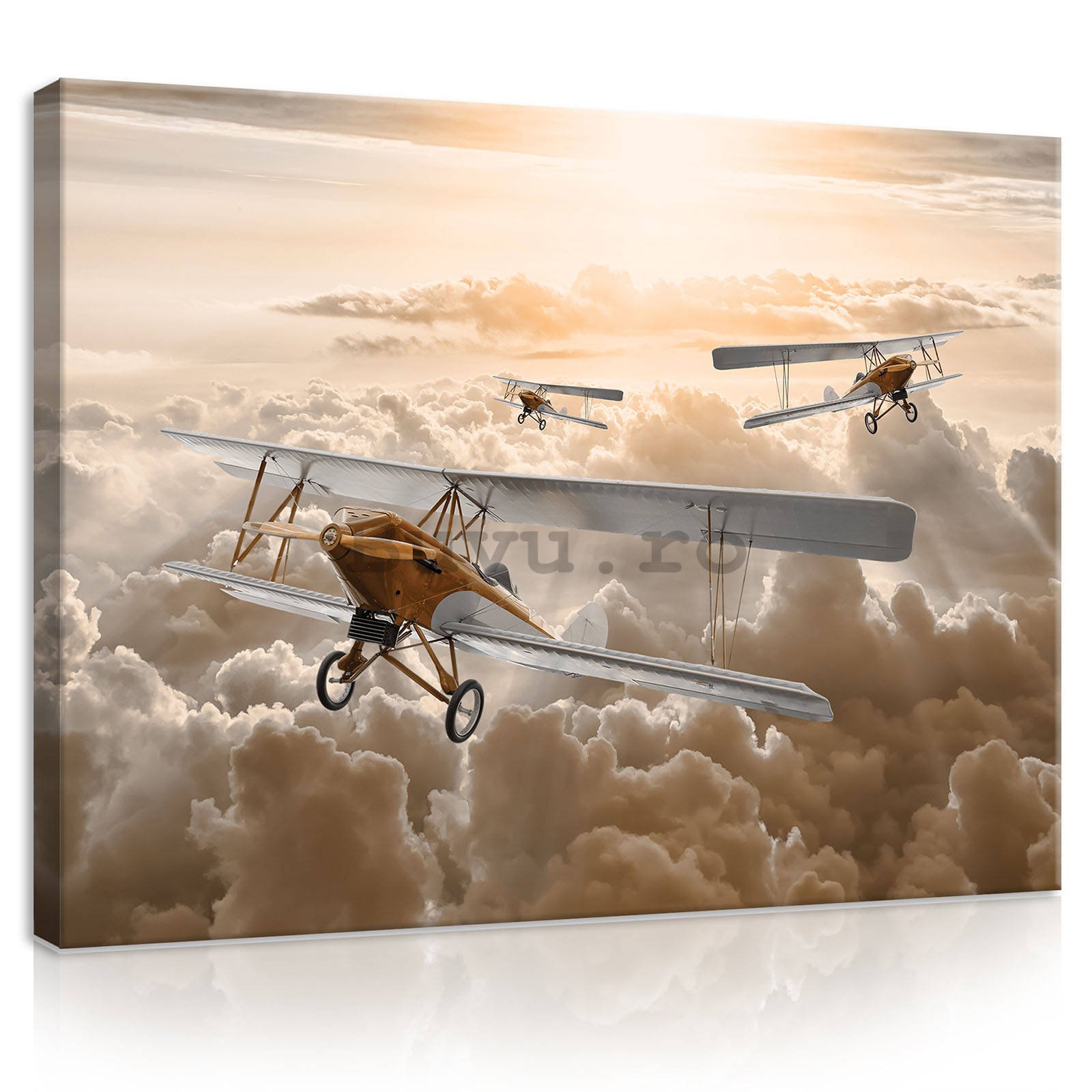 Tablou canvas: Avioane biplane - 80x60 cm