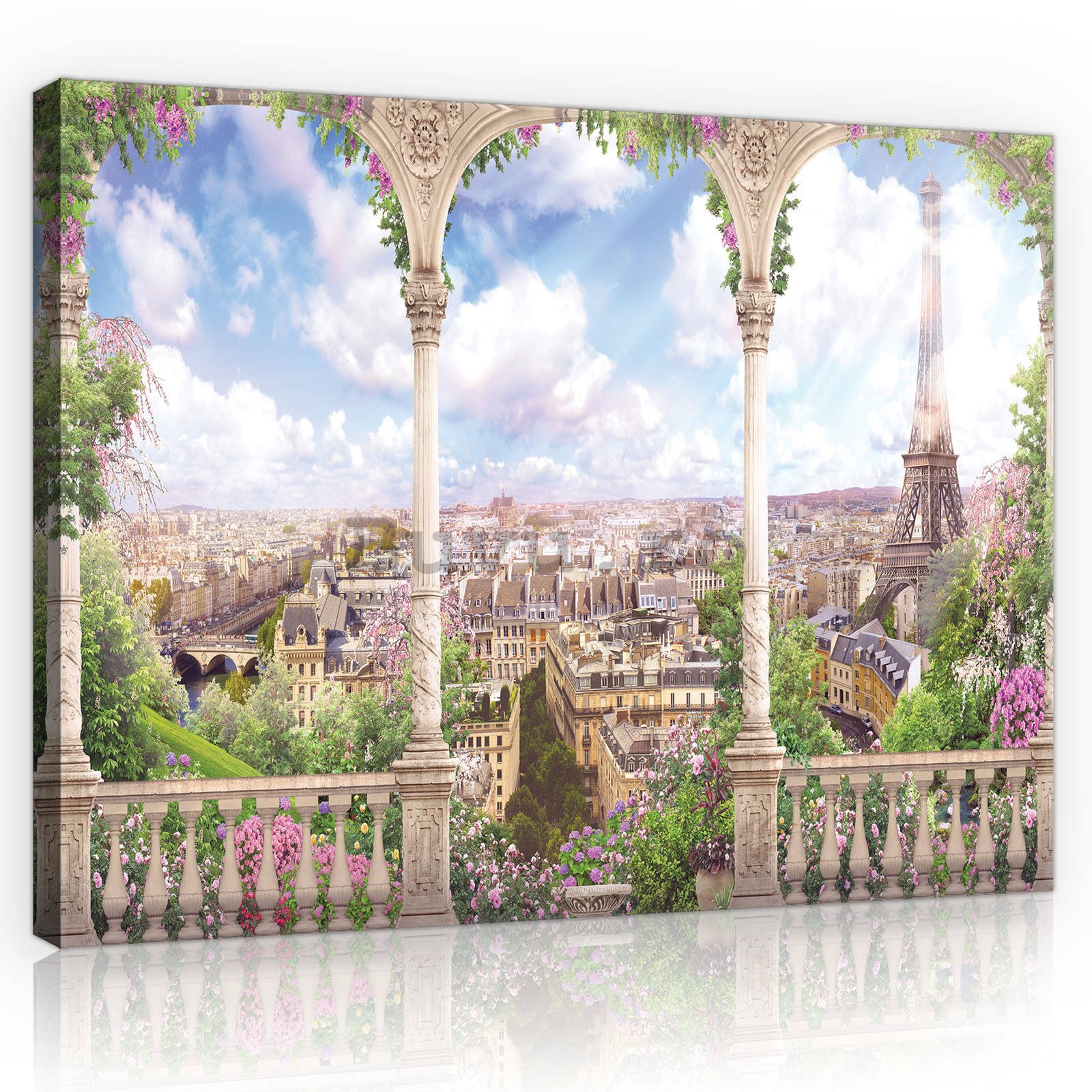 Tablou canvas: Vedere romantică a Parisului - 80x60 cm