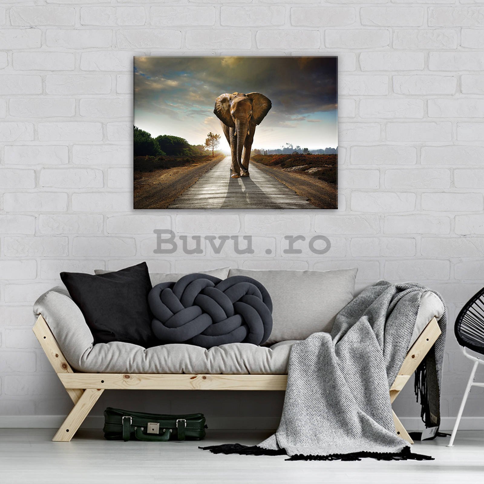 Tablou canvas: Elefant (4) - 80x60 cm