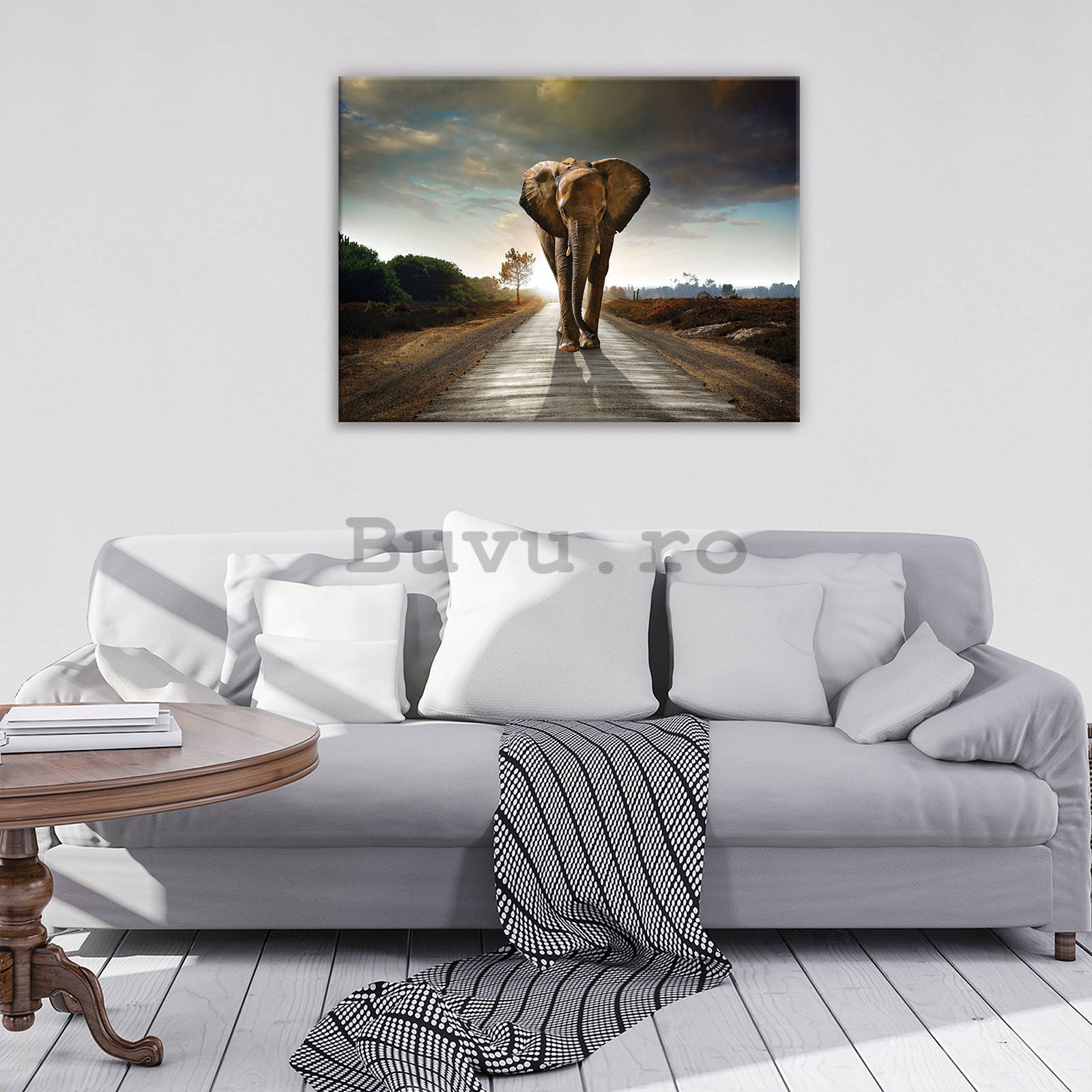 Tablou canvas: Elefant (4) - 80x60 cm
