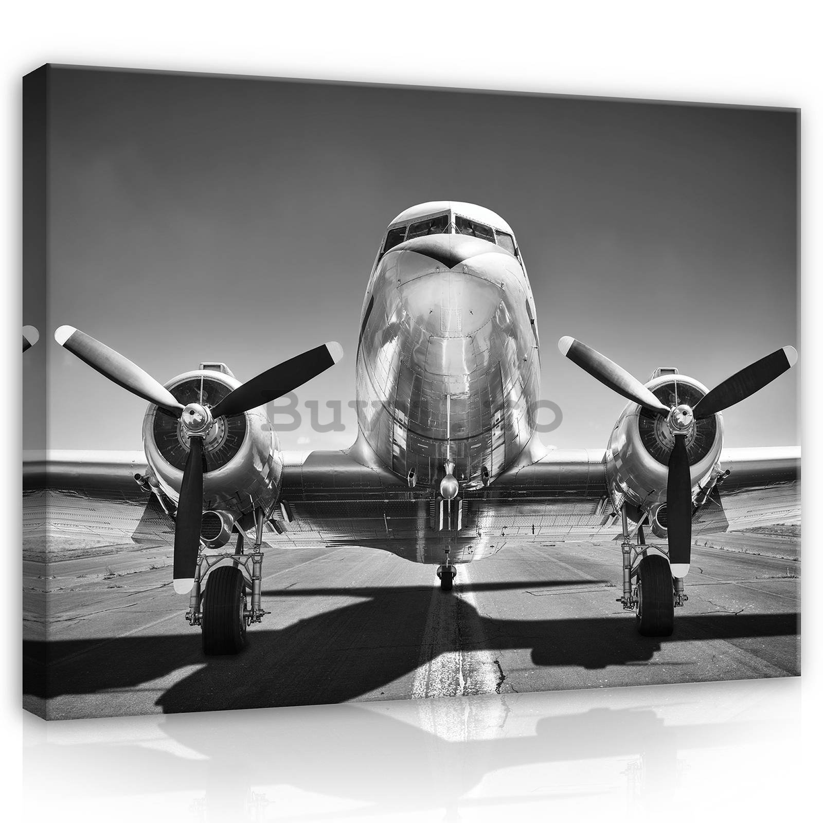 Tablou canvas: Aeronave negre și albe (1) - 80x60 cm
