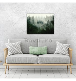Tablou canvas: Ceață peste pădure (1) - 80x60 cm