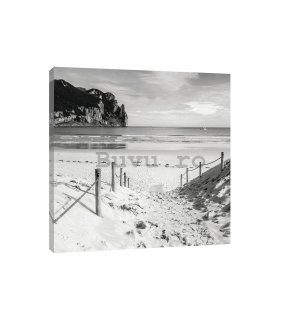 Tablou canvas: Plajă nisipoasă (alb-negru) - 80x60 cm