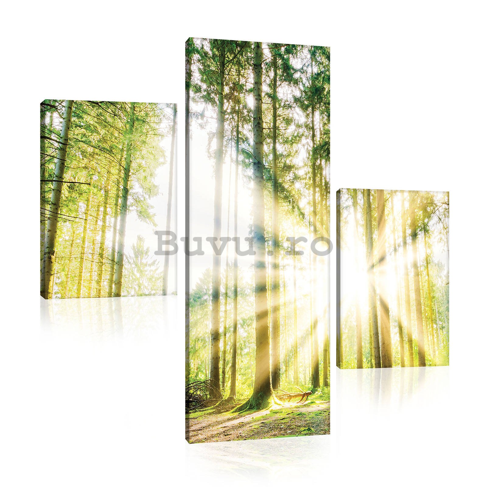 Tablou canvas: Soarele în pădure (2) - set 1 buc 80x30 cm și 2 buc 37,5x24,8 cm