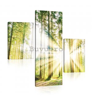 Tablou canvas: Soarele în pădure (2) - set 1 buc 80x30 cm și 2 buc 37,5x24,8 cm