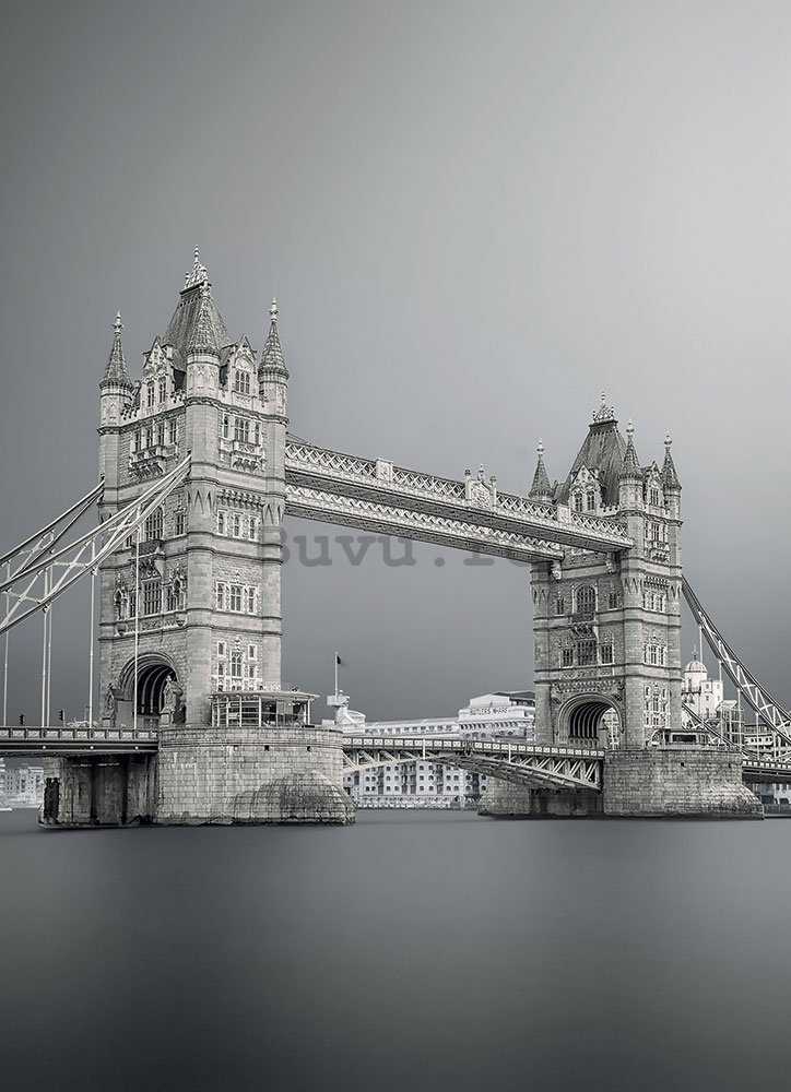 Fototapet: Tower Bridge Gri - 184x254 cm