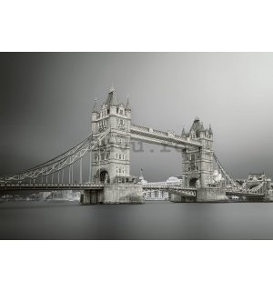 Fototapet vlies: Tower Bridge Gri - 254x368 cm