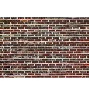 Fototapet vlies: Zid de cărămidă (6) - 254x368 cm