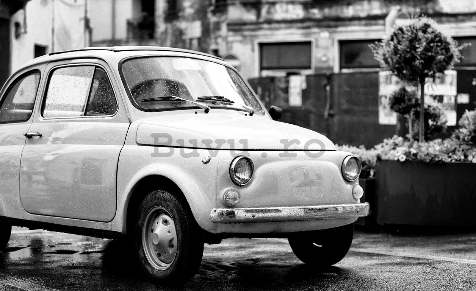 Fototapet vlies: Fiat 500 - 416x254 cm