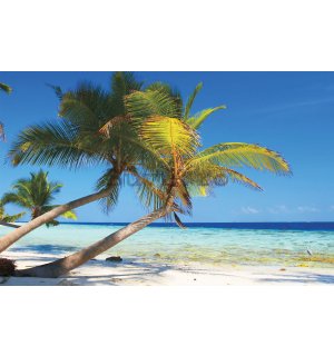 Fototapet vlies: Plajă cu palmier - 104x70,5 cm