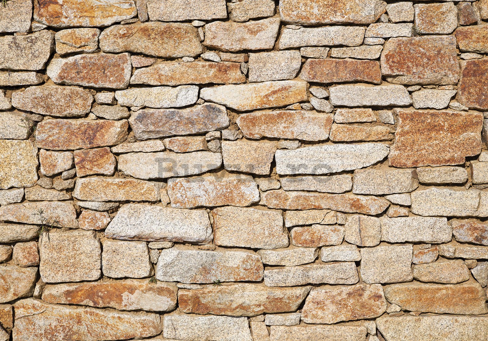 Fototapet vlies: Zid de piatră (portocaliu) - 350x245 cm