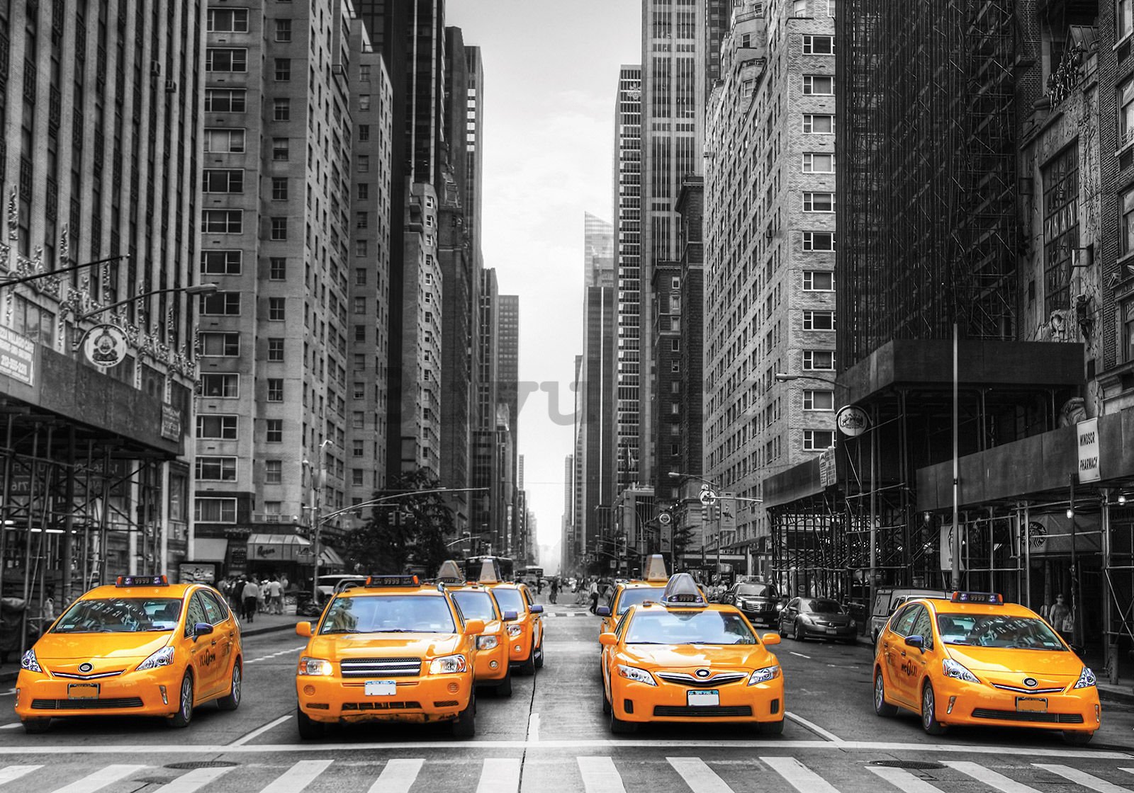 Fototapet vlies: Taxi NYC - 350x245 cm