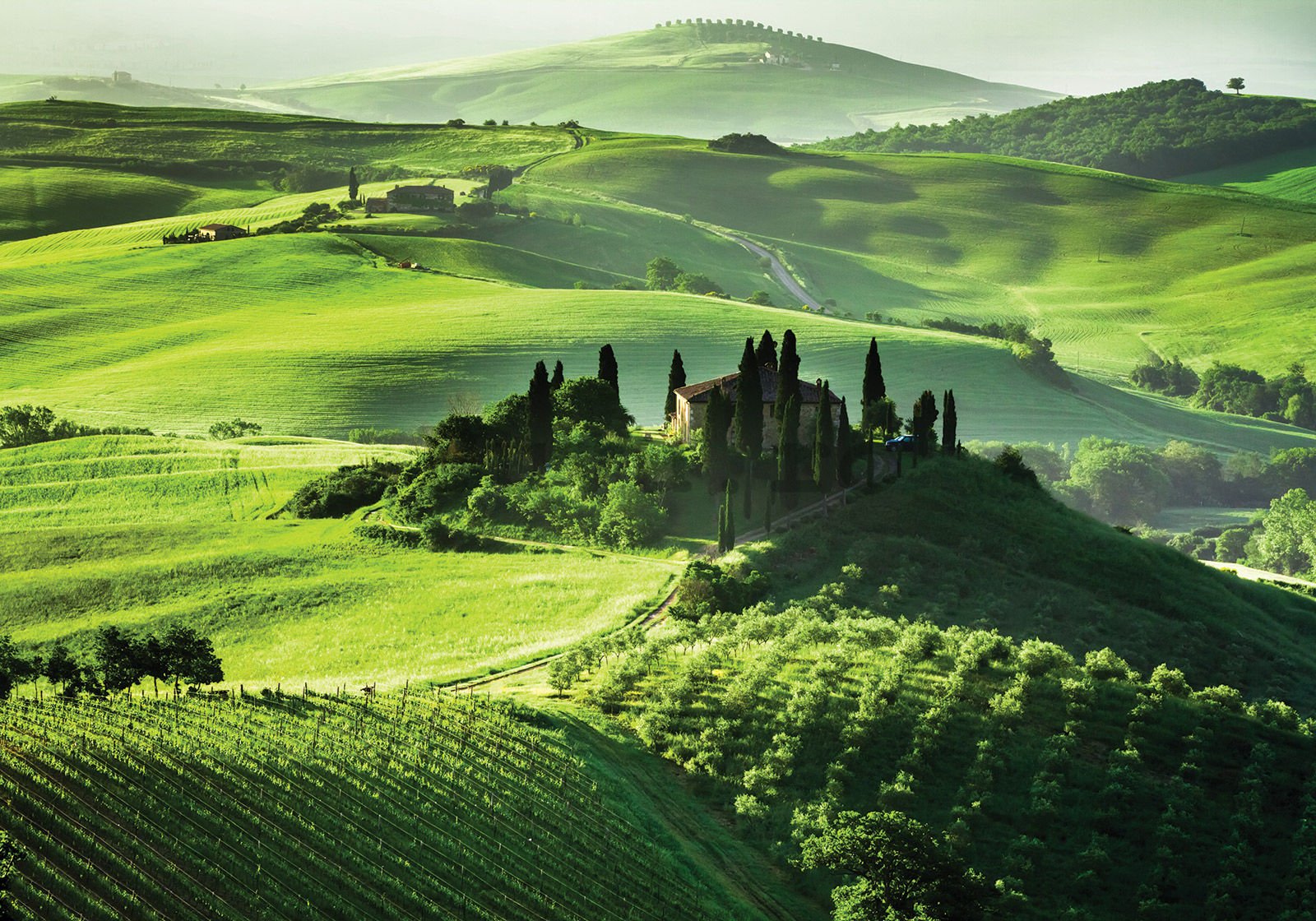 Fototapet vlies: Toscana verde - 400x280 cm