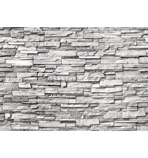 Fototapet vlies: Zid de piatră (gri) - 400x280 cm