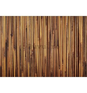 Fototapet vlies: Placare din bambus - 400x280 cm