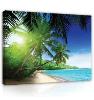 Tablou canvas: Paradis pe plajă - 80x60 cm