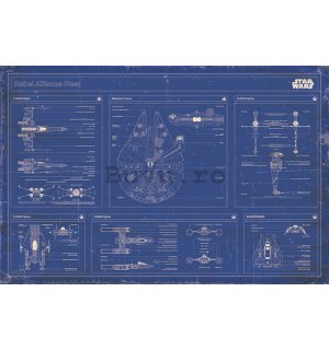 Poster - Star Wars Rebel Alliance Fleet Blueprint