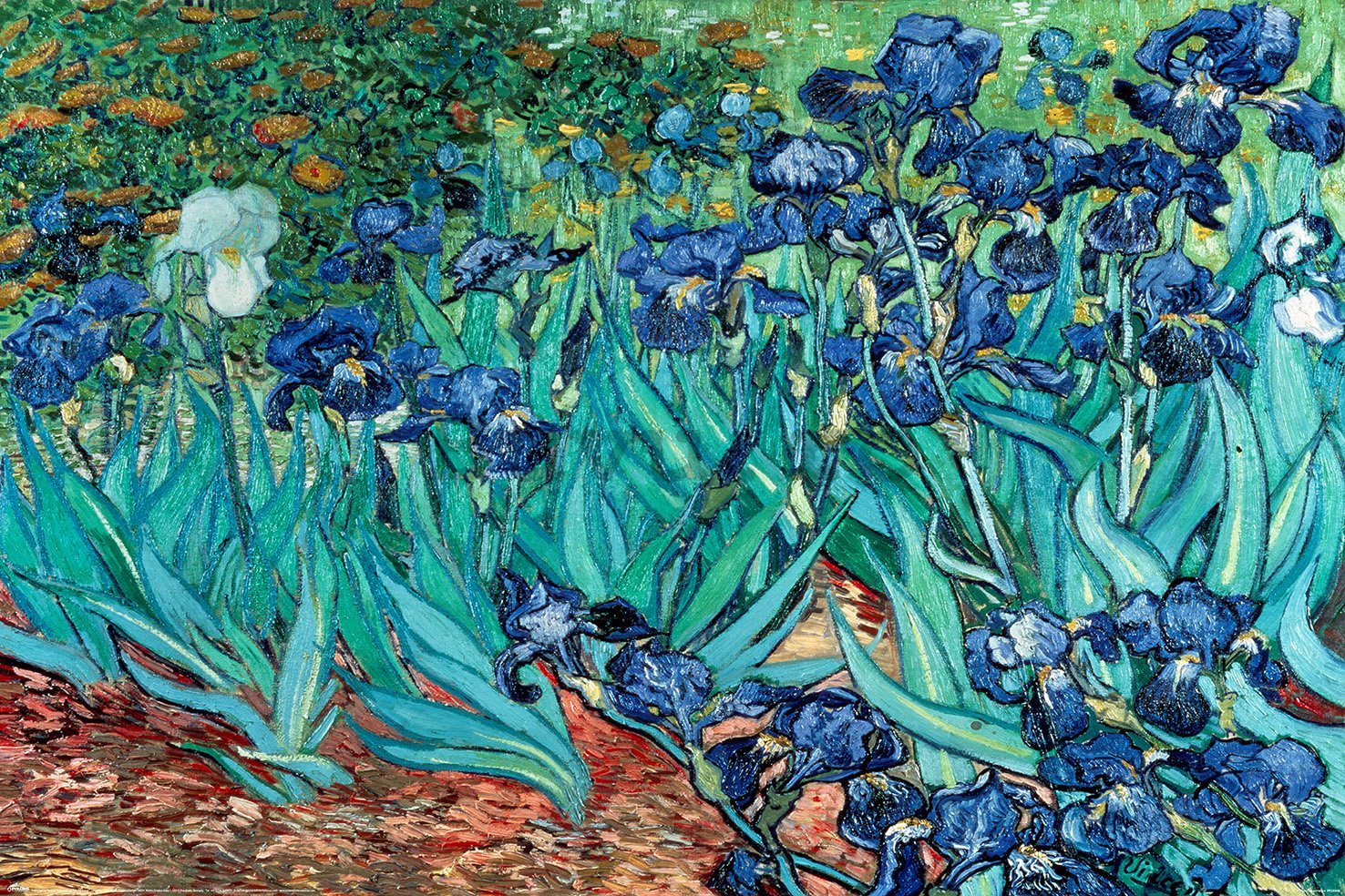 Poster - Van Gogh (Les Irises)