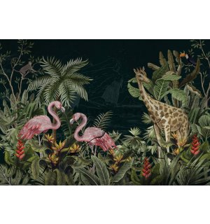 Fototapet vlies: Flamingo și girafă - 254x184 cm