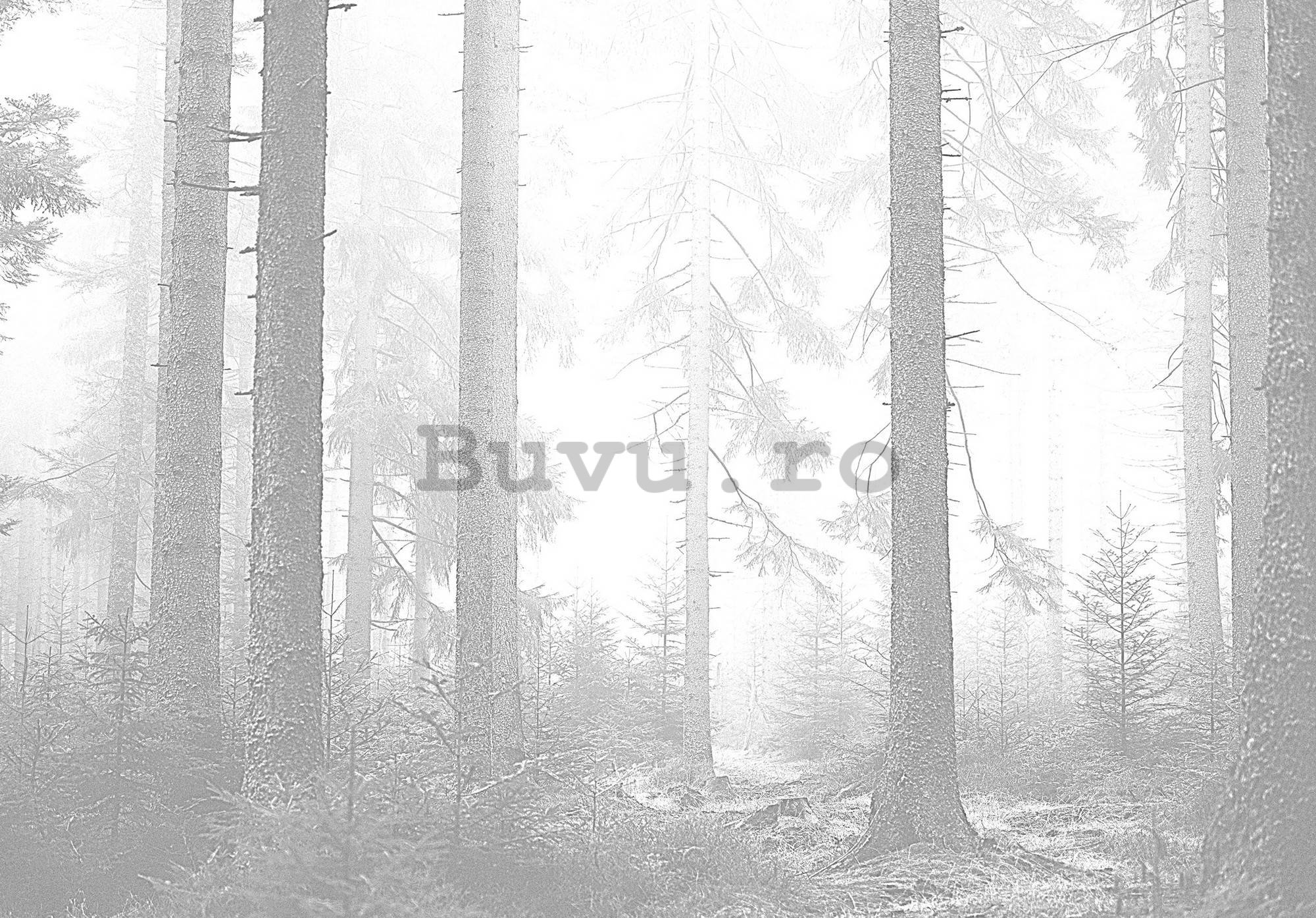 Fototapet vlies: Pădure în alb și negru (3) - 254x184 cm